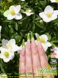 ������: �������� �����. C���������������� ������������� Nfu.Oh. ������-�������� EzFlow Nail Systems! ������-�������� �� ����������� �����! ������-�������� �� ����������� ������! �������� �����