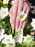������: �������� �����. C���������������� ������������� Nfu.Oh. ������-�������� EzFlow Nail Systems! ������-�������� �� ����������� �����! ������-�������� �� ����������� ������! �������� �����