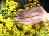 ������: �������� �����. C���������������� ������������� Nfu.Oh. ������-�������� EzFlow Nail Systems! ������-�������� �� ����������� �����! ������-�������� �� ����������� ������! �������� �����