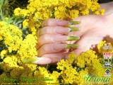 ������: �������� �����. C���������������� ������������� Nfu.Oh. ������-�������� EzFlow Nail Systems! ������-�������� �� ����������� �����! ������-�������� �� ����������� ������! �������� �����