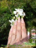 ������: �������� �����. C���������������� ������������� Nfu.Oh. ������-�������� EzFlow Nail Systems! ������-�������� �� ����������� �����! ������-�������� �� ����������� ������! �������� �����
