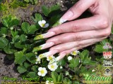 ������: �������� �����. C���������������� ������������� Nfu.Oh. ������-�������� EzFlow Nail Systems! ������-�������� �� ����������� �����! ������-�������� �� ����������� ������! �������� �����