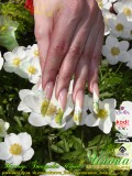 ������: �������� �����. C���������������� ������������� Nfu.Oh. ������-�������� EzFlow Nail Systems! ������-�������� �� ����������� �����! ������-�������� �� ����������� ������! �������� �����